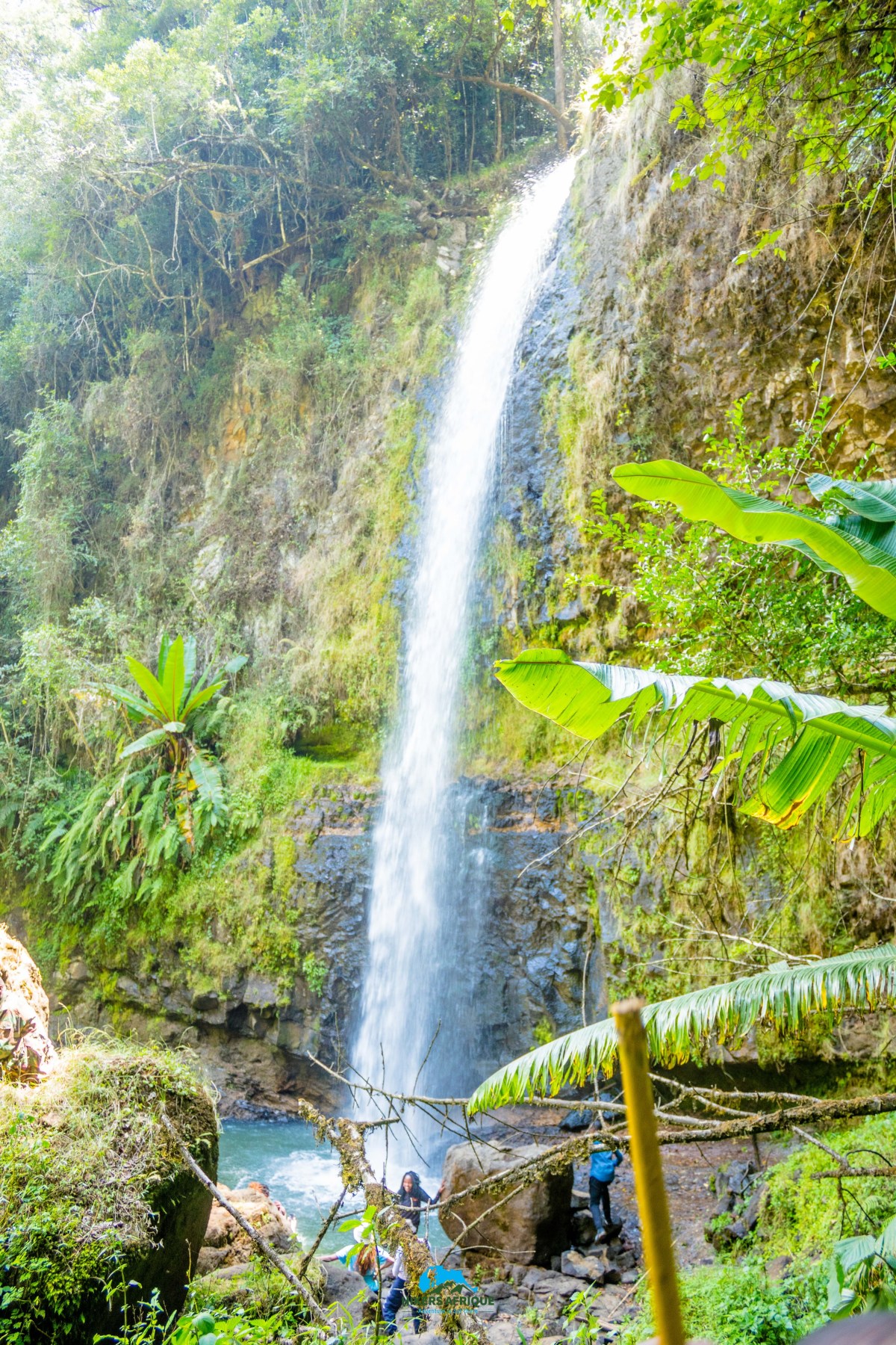 Waterfalls at Ragia&nbsp;Forest